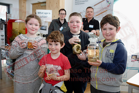NI Science Festival Road Show in the CREST Centre, Enniskillen.-7