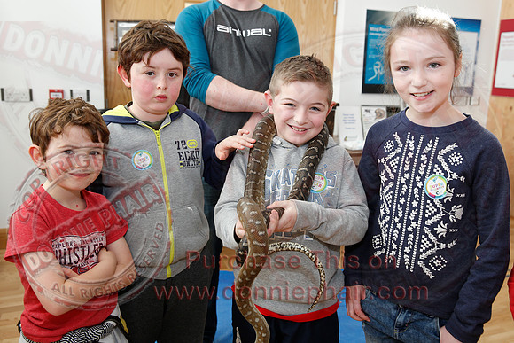 NI Science Festival Road Show in the CREST Centre, Enniskillen.-15