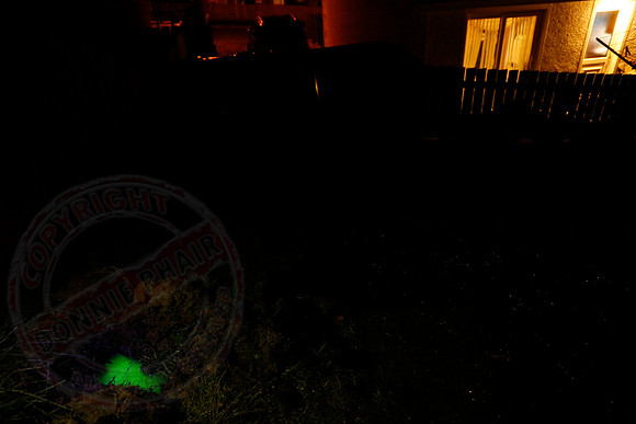 Photo taken on 05/04/18 showing the green dye pooling in my garden.