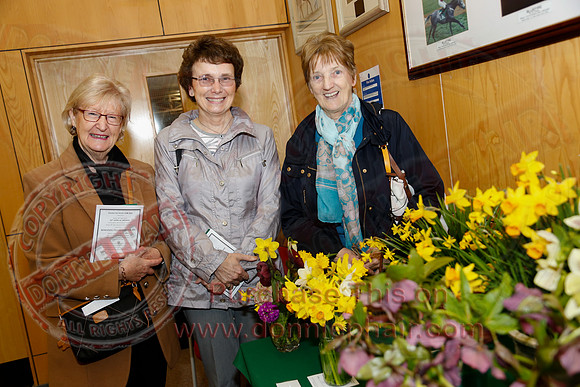 Daffodil adn Spring Flower show at CAFRE centre, Enniskillen-9