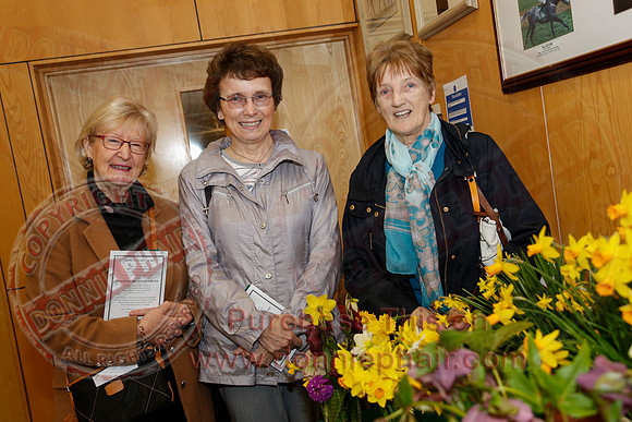 Daffodil adn Spring Flower show at CAFRE centre, Enniskillen-10