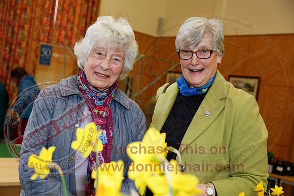 Daffodil adn Spring Flower show at CAFRE centre, Enniskillen-13