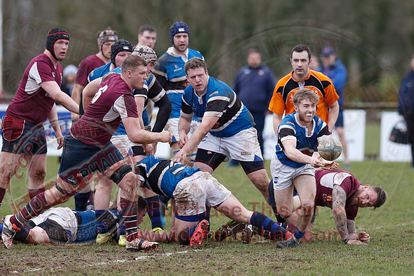 Enniskillen 1st XV (6) V Coleraine 1st XV (0) in Ulster Rugby Championship Division One-21