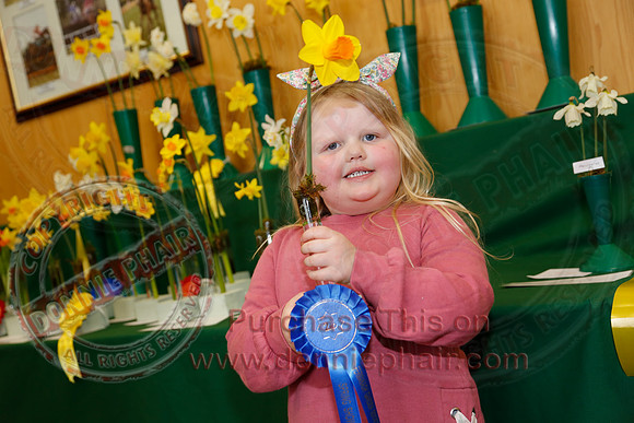 Daffodil adn Spring Flower show at CAFRE centre, Enniskillen-1