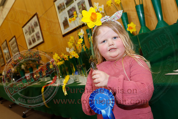 Daffodil adn Spring Flower show at CAFRE centre, Enniskillen-2