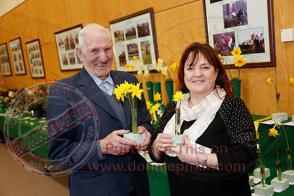 Daffodil adn Spring Flower show at CAFRE centre, Enniskillen-3