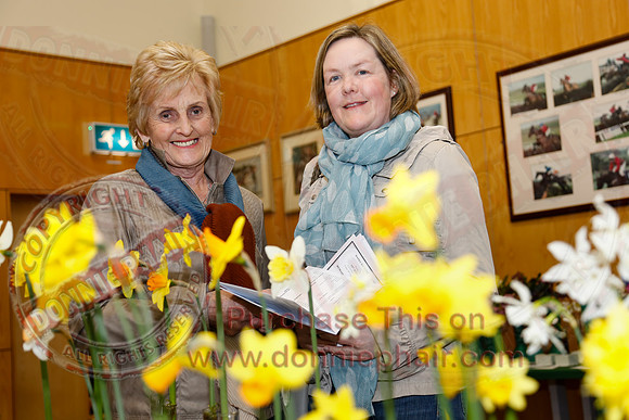 Daffodil adn Spring Flower show at CAFRE centre, Enniskillen-6
