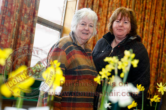 Daffodil adn Spring Flower show at CAFRE centre, Enniskillen-7
