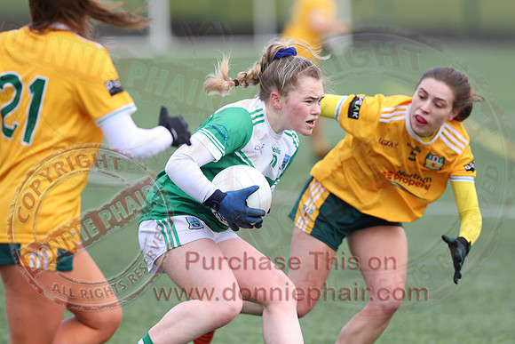 Fermanagh (2-11) V Antrim (2-08) in Ladies National GAA Football League Division 4A-15