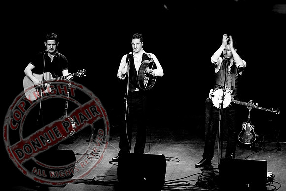 The Kilkennys
