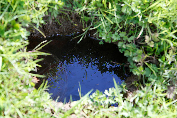 Footage and photos of NI Water completing a Dye Test on Sewer Manhole on 10/05/18.