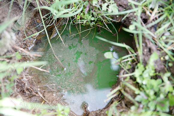 Footage and photos of NI Water completing a Dye Test on Sewer Manhole on 10/05/18.