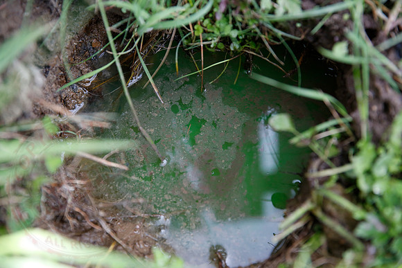 Footage and photos of NI Water completing a Dye Test on Sewer Manhole on 10/05/18.