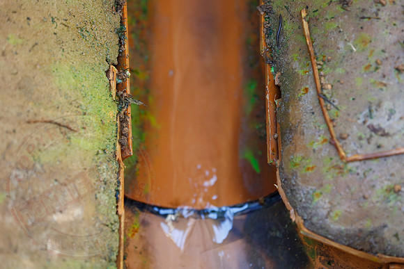 Footage and photos of NI Water completing a Dye Test on Sewer Manhole on 10/05/18.