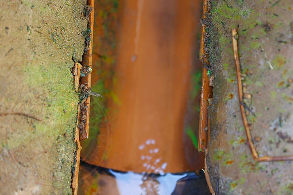 Footage and photos of NI Water completing a Dye Test on Sewer Manhole on 10/05/18.