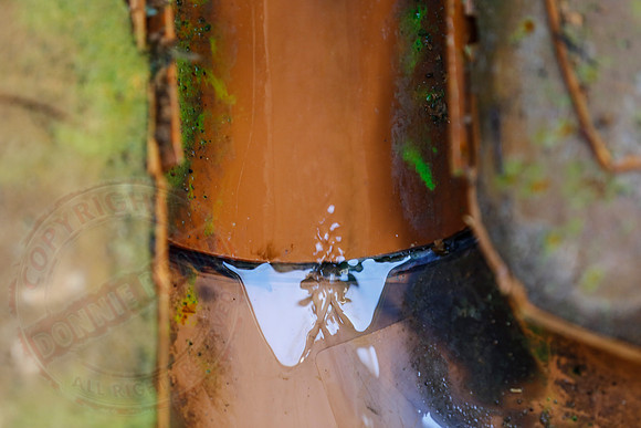 Footage and photos of NI Water completing a Dye Test on Sewer Manhole on 10/05/18.