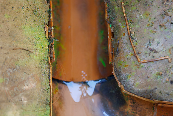 Footage and photos of NI Water completing a Dye Test on Sewer Manhole on 10/05/18.