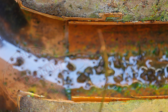 Footage and photos of NI Water completing a Dye Test on Sewer Manhole on 10/05/18.