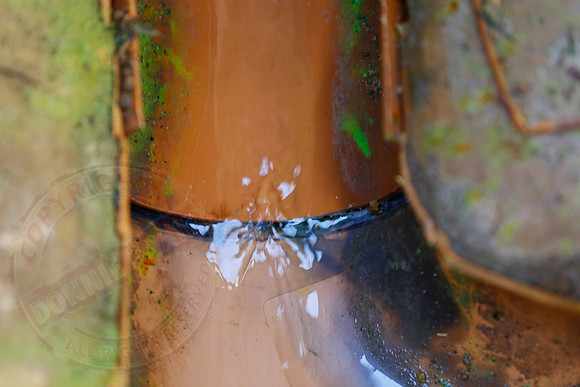Footage and photos of NI Water completing a Dye Test on Sewer Manhole on 10/05/18.