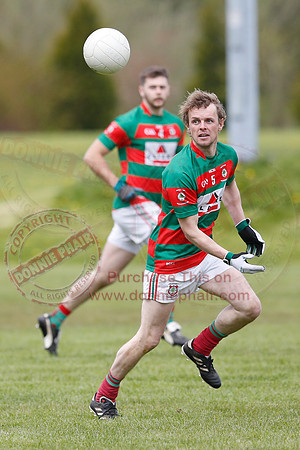 Lisnaskea (3-08) V roslea (2-09) in Senior GAA Football League Division One.-36