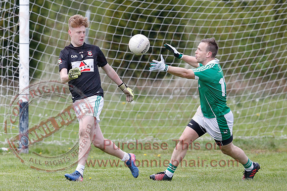 Lisnaskea (3-08) V roslea (2-09) in Senior GAA Football League Division One.-41