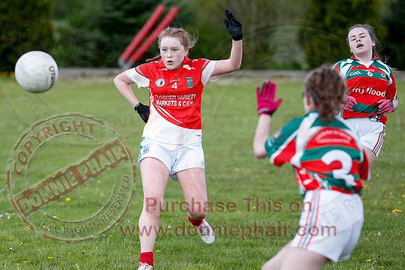 Ogie Sevens GAA Tournament in Lisnaskea.-7