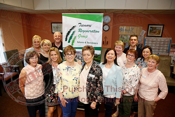 Teemore Regeneration Group-1