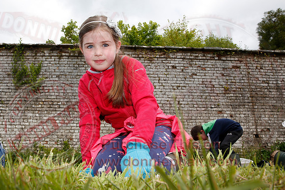 Archaeological dig at Florence Court-1