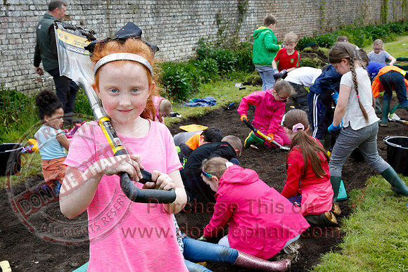 Archaeological dig at Florence Court-3