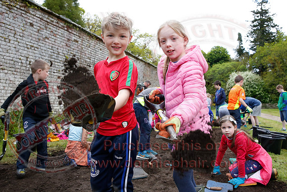 Archaeological dig at Florence Court-5