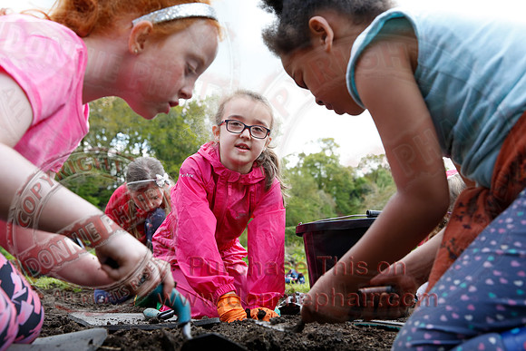 Archaeological dig at Florence Court-10