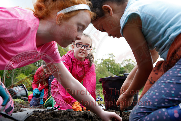 Archaeological dig at Florence Court-11