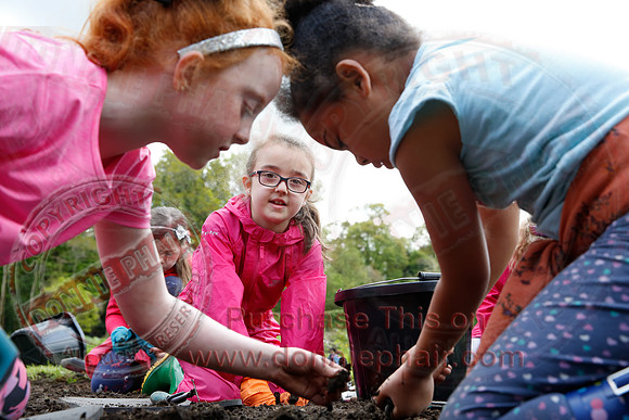Archaeological dig at Florence Court-12