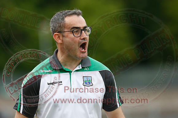 Fermanagh (1-19) V Cavan (2-16) in Lory Meagher Hurling Cup-32