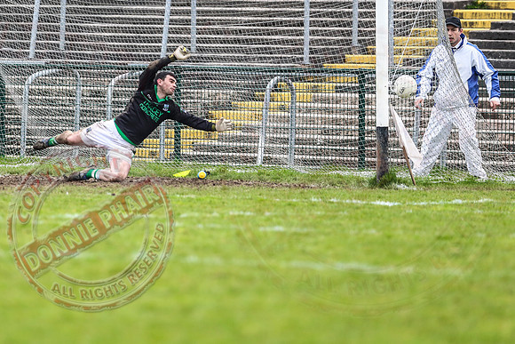 Fermanagh (2-20) V Wexford (3-8) in Allianz National Football League Division 3.