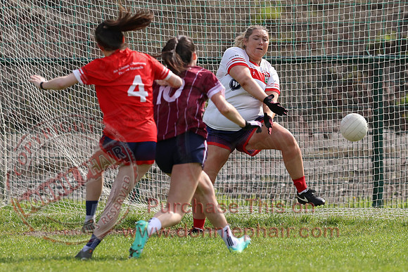Newtownbutler (3-12) V Tempo (5-03) in Ladies GAA Football Division One-3