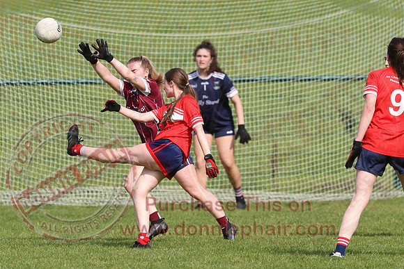Newtownbutler (3-12) V Tempo (5-03) in Ladies GAA Football Division One-10