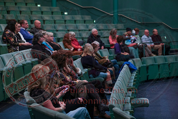 Bounce Art's Festival talk and chat in the Ardhowen Theatre, Enniskillen-2
