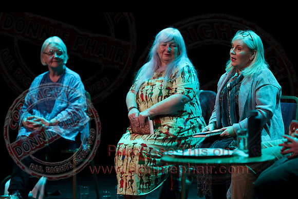 Bounce Art's Festival talk and chat in the Ardhowen Theatre, Enniskillen-4