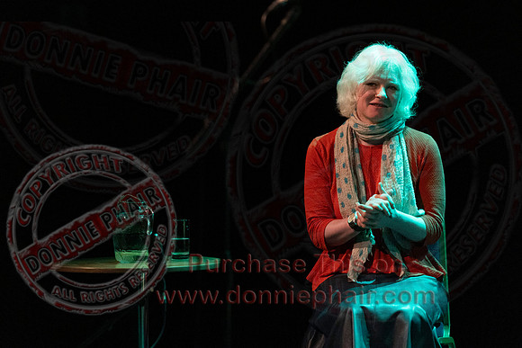 Bounce Art's Festival talk and chat in the Ardhowen Theatre, Enniskillen-7
