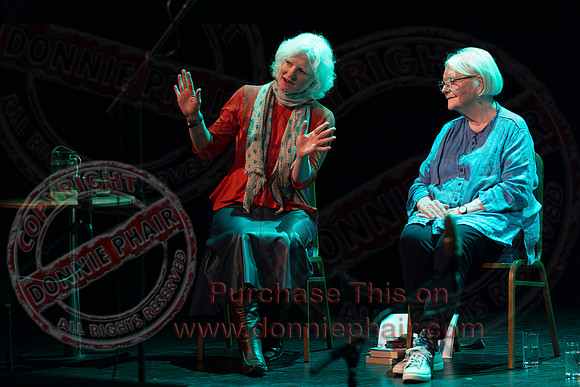 Bounce Art's Festival talk and chat in the Ardhowen Theatre, Enniskillen-8