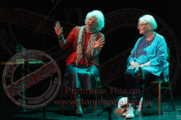 Bounce Art's Festival talk and chat in the Ardhowen Theatre, Enniskillen-9