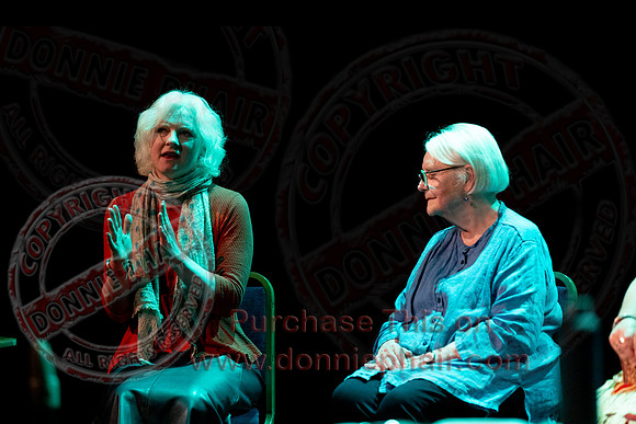 Bounce Art's Festival talk and chat in the Ardhowen Theatre, Enniskillen-13