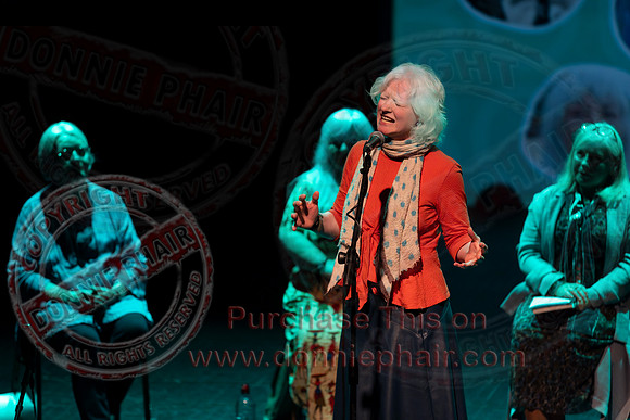 Bounce Art's Festival talk and chat in the Ardhowen Theatre, Enniskillen-29