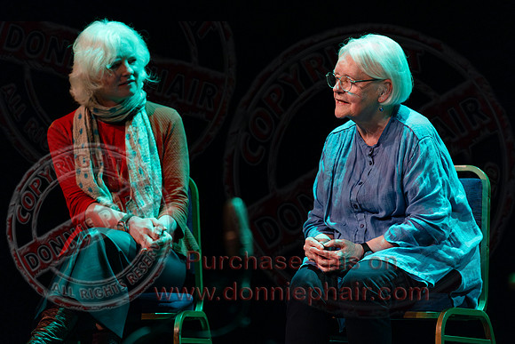 Bounce Art's Festival talk and chat in the Ardhowen Theatre, Enniskillen-35