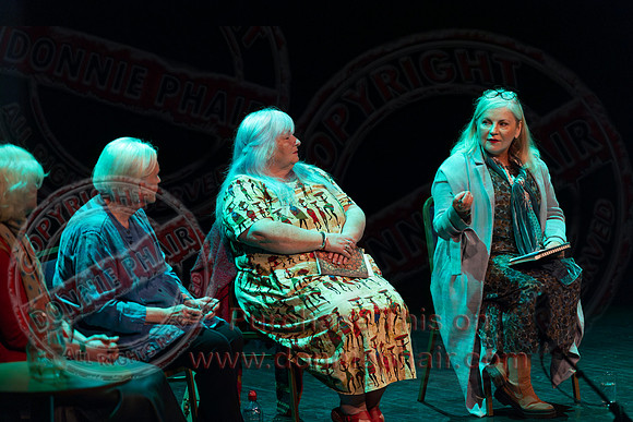 Bounce Art's Festival talk and chat in the Ardhowen Theatre, Enniskillen-47