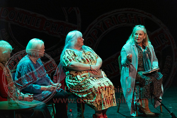 Bounce Art's Festival talk and chat in the Ardhowen Theatre, Enniskillen-48