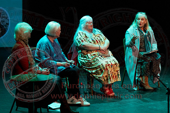 Bounce Art's Festival talk and chat in the Ardhowen Theatre, Enniskillen-50