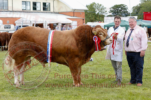 Omagh Show-7