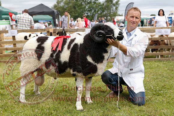 Omagh Show-12